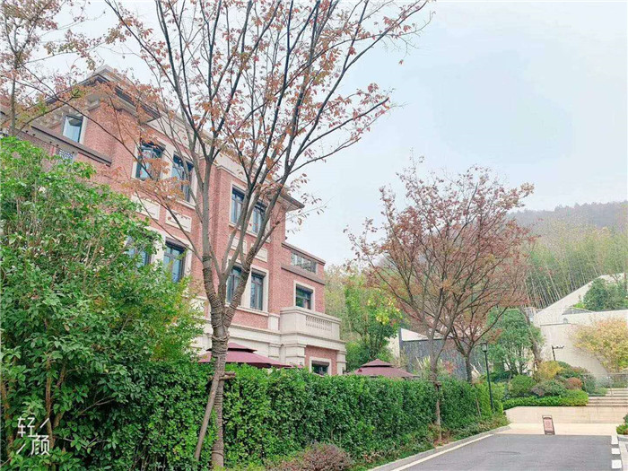 微信图片_20200314193326.jpg